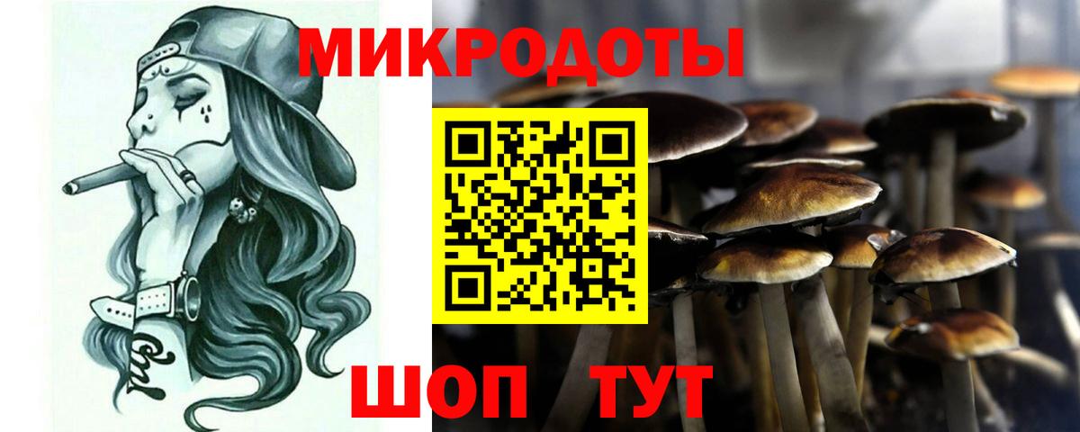 Белгород  Псилоцибиновые грибы мицелий  Вход с VPN  Галлюциногенные грибы MAGIC MUSHROOMS 